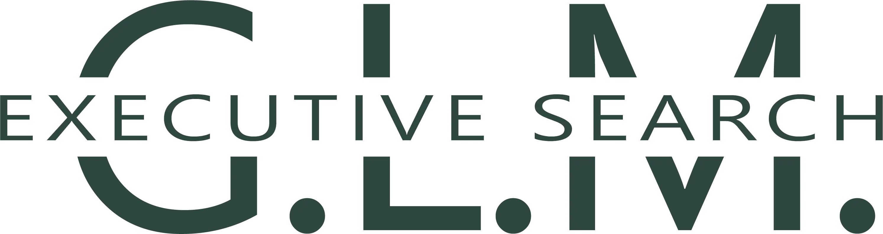 GLM Executive Search logo
